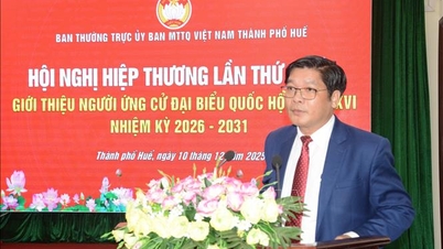 Pemilihan Majelis Nasional dan Dewan Rakyat: Hue menyelesaikan fase konsultasi penting.