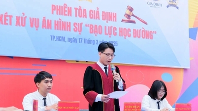 Sollte die juristische Ausbildung an einer multidisziplinären oder spezialisierten Hochschule erfolgen? Was sagen Experten?