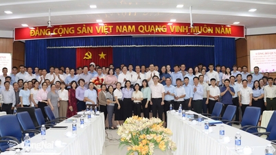 Consiliul Popular al Provincialei Dong Nai a aprobat o politică de sprijinire a funcționarilor transferați sau prin rotație.