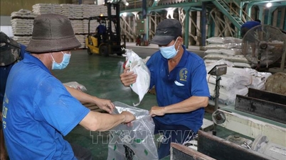 Herstructureringsstrategie voor Vietnamese rijst in 2026