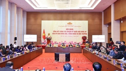 Semez les graines du savoir et de l'intégrité dans chaque projet de loi.