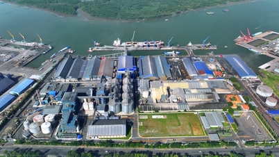 Ho-Chi-Minh-Stadt beherbergt einen der größten Sojaölpresskomplexe in Südostasien.