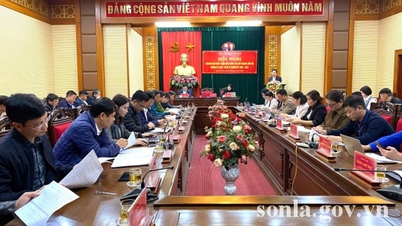 Quynh Nhai kulcsfontosságú tisztviselőkből álló konferenciát szervezett a személyzeti tervezés végrehajtása érdekében.