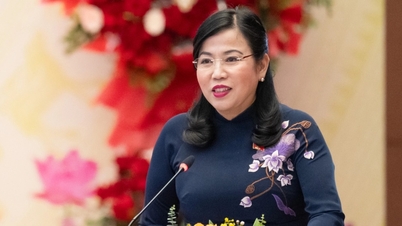 Das Kennzeichen des Ausschusses für Wissenschaft, Technologie und Umwelt während seiner Sondersitzung.