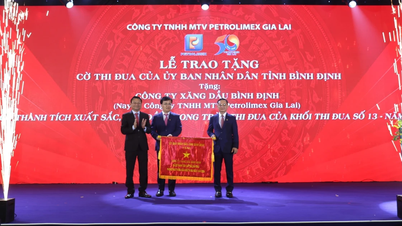 Petrolimex Gia Lai One-Member Limited Company merayakan ulang tahun ke-50.