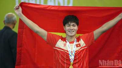 Jeux d'Asie du Sud-Est 33 : Le Vietnam remporte 4 médailles d'or dès le premier jour.