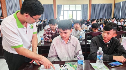 ផ្តល់សេវាប្រឹក្សាការងារ និងផ្តល់ការងារដល់សិស្សានុសិស្ស និងកម្មករជាង៣០០នាក់ នៅឃុំតាន់ហៀប។