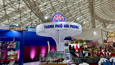 การเลือกตั้งสภาแห่งชาติและสภาประชาชน: ความเป็นเอกภาพและความเห็นพ้องต้องกันในกระบวนการปรึกษาหารือเพื่อเสนอชื่อผู้แทน