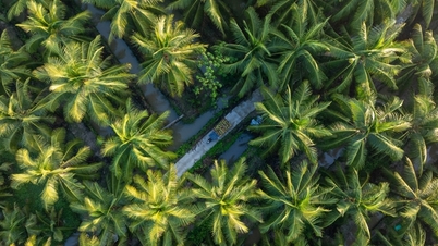 A AgriS constrói um ecossistema agrícola circular de alta tecnologia.