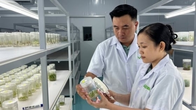 ヴィンロンはテクノロジーを積極的に活用し、農業におけるデジタル変革を進めています。