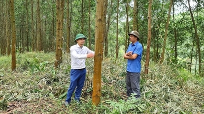 Karbon kredisi arzına katılmaya hazırız.