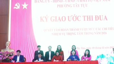 Tay Tuu Ward aims to achieve a budget revenue of 267 billion VND in 2026.