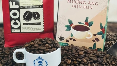 Beskyttelse av den geografiske betegnelsen «Muong Ang» for kaffeprodukter.