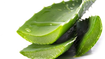 "Usar gel de aloe vera fresco para escovar os dentes ajuda a clareá-los", dizem os especialistas.