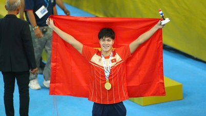 Vietnam'ın 33. Güneydoğu Asya Oyunları'nda kazandığı ilk altın madalyaların duygusal öyküsü.