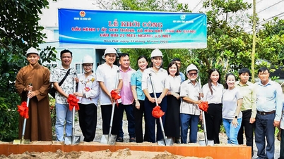 Viele praktische Projekte