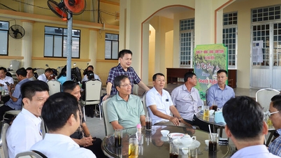 Ранкова кава з бізнесом