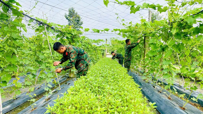 Regiment 5 - a shining example of logistics work.