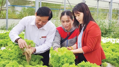 Hogy Hue gyorsan és fenntarthatóan fejlődjön.