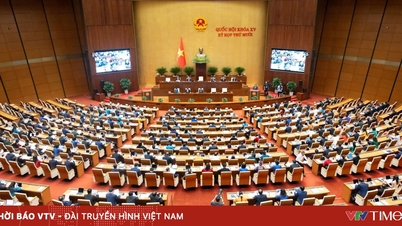 Truyền hình trực tiếp Phiên bế mạc Kỳ họp thứ 10, Quốc hội khóa XV