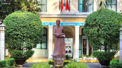 כוכבי וייטנאם: הפקיד הישר והרהוט