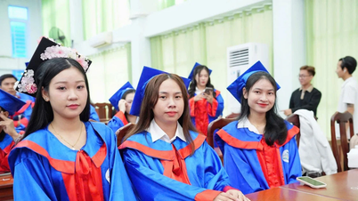 یونیورسٹی کے تربیتی پروگراموں کی منظوری: معیار کے لیے حفاظتی فریم ورک کا قیام۔