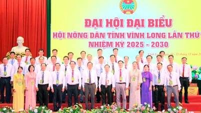 المؤتمر الأول لجمعية المزارعين الإقليمية، الفترة 2025-2030: يشارك المزارعون في بناء مقاطعة سريعة التطور ومستدامة.