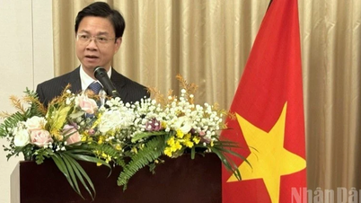 Quan hệ Việt Nam-Nhật Bản bước vào giai đoạn “vàng” phát triển thực chất và hiệu quả