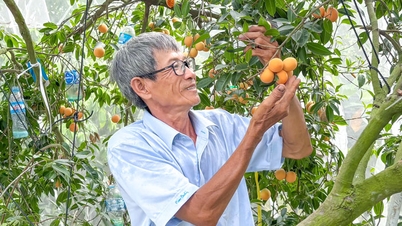 사고방식을 바꾸고, 당신의 정원에서 부자가 되세요.