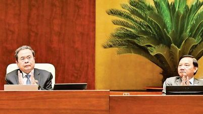 Национальное собрание приняло множество законов и резолюций, направленных на устранение институциональных «узких мест».