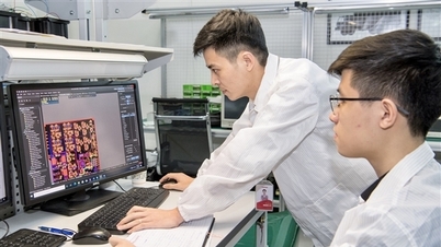 Vilka lösningar kan förhindra att vetenskapliga artiklar dras tillbaka?