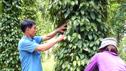Yoksulluğun azaltılmasına yönelik çok boyutlu ve sürdürülebilir bir yaklaşım.