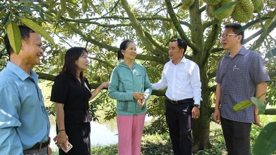 Зміни в зусиллях щодо скорочення бідності в комуні Кронг Но