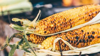 Aperitivos típicos de Hanoi cuando llega el invierno.