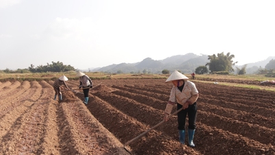 Dringende Winterkulturproduktion