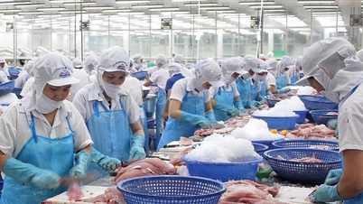 Thủy sản - 80 năm đồng hành với ngành nông nghiệp và kinh tế biển