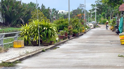 Der Dammkorridor muss wieder in seinen ursprünglichen, freien Zustand versetzt werden.