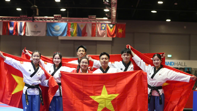 Après la médaille d'or en canoë, l'équipe de taekwondo a remporté la deuxième médaille d'or pour la délégation sportive vietnamienne.
