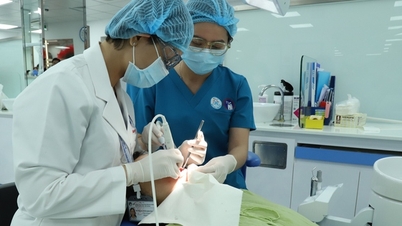 מדדי שביעות רצון המטופלים בבתי החולים בהו צ'י מין סיטי ממשיכים לעלות.