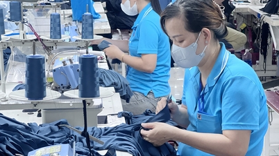 Угоди про вільну торгівлю прискорюють виробництво та експорт у Донгнаї.