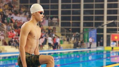 제33회 동남아시아 경기대회: 베트남 스포츠의 도약.