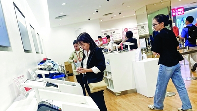 साल के अंत के सीजन के दौरान कार्डधारकों के लिए कई विशेष ऑफर उपलब्ध हैं।