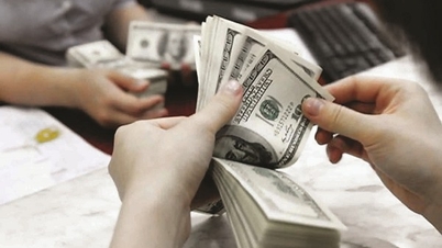 [इन्फोग्राफिक] 11-17 दिसंबर तक कर योग्य मूल्य निर्धारित करने के लिए विनिमय दरें