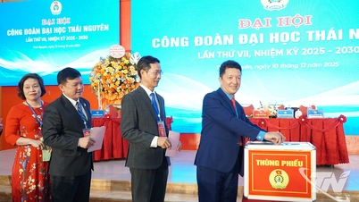 7º Congreso del Sindicato de la Universidad Thai Nguyen, período 2025-2030