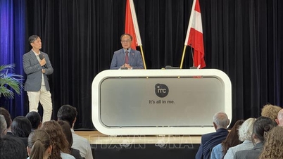 वियतनाम और ऑस्ट्रिया उच्च गुणवत्ता वाले मानव संसाधनों के लिए अवसर प्रदान करते हैं।