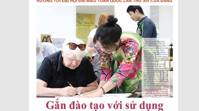 12월 11일에 발행된 Hue Today Weekend 50호를 읽어주시기 바랍니다.