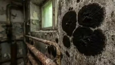 ທ່າແຮງອັນລຶກລັບທີ່ຖືກຄົ້ນພົບຢູ່ໃນ mold ທີ່ພົບເຫັນໃນເຂດໄພພິບັດນິວເຄລຍ Chernobyl.