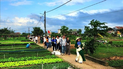 Phát triển du lịch nông thôn theo phương châm 'mỗi làng một sản phẩm'