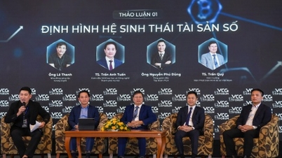 ভিয়েতনামের মূলধন লেনদেনের হার সিঙ্গাপুরের মাত্র এক-তৃতীয়াংশ; ডিজিটাল সম্পদই "চাবি"।