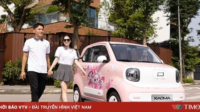 بيستون شاومي - مركبة كهربائية حضرية: حل لتقليل الانبعاثات وتحسين جودة الهواء.